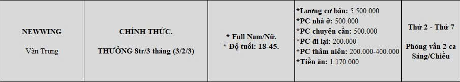 Công ty TNHH New Wing